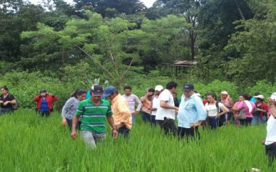 The Women’s Agricultural Production Cooperative of Rio Blanco